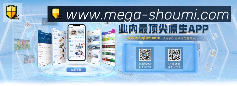 未来规划